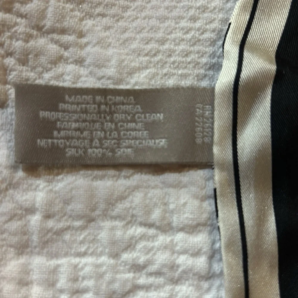 ECHO Silk Scarf.